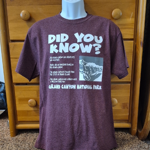 Port and Company Other - Brand New Men's Medium Grand Canyon National Park Kids T-Shirt - Heather Purple